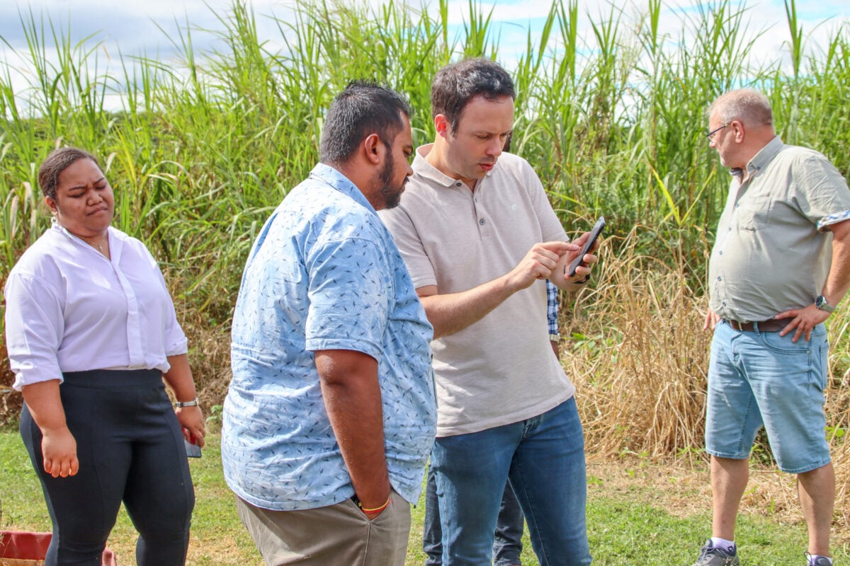 Four adults stand outdoors near tall grass; two men focus on a smartphone, while a woman and another man look away in different directions.