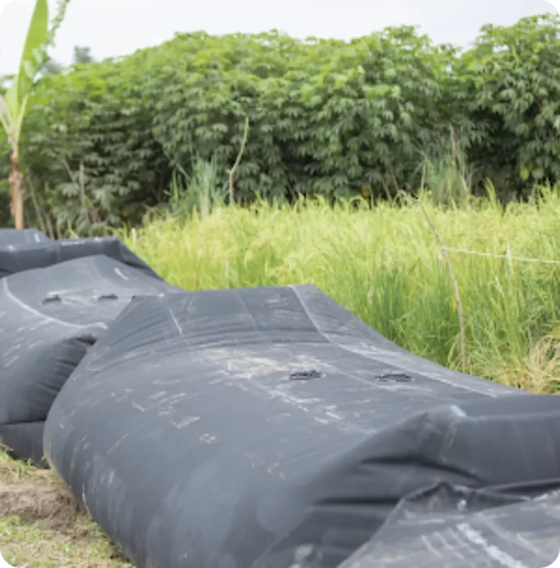 Mobile flood barriers deployed beside a field of tall vegetation