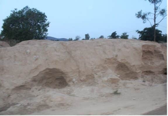 Sandy eroded hillside with small caves, surrounded by sparse trees under a clear sky.