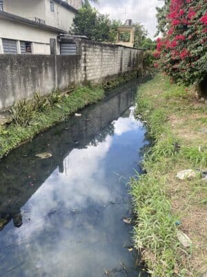 A narrow canal with clear water reflecting the sky stretches between a concrete wall and a grassy bank. Red flowering bushes grow along the bank.