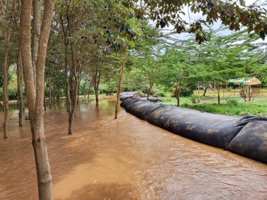 Flooded area with brown water among trees, and a long black inflatable flood barrier running through the scene.