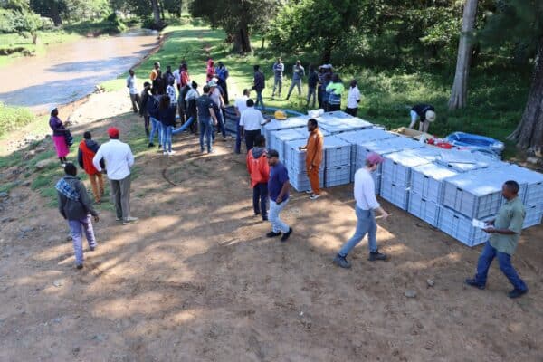 A group of people gathers near a riverbank beside large stacks of white boxes, with trees and grass in the background.