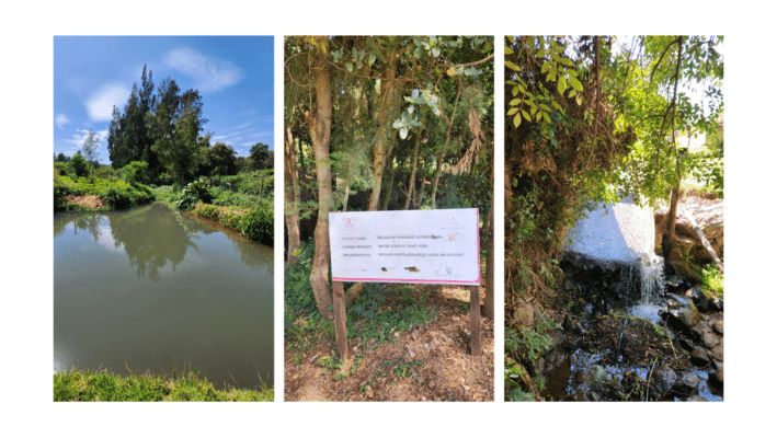 Three images side by side: a pond with greenery, a signboard in a wooded area, and water flowing from a pipe surrounded by plants and rocks, illustrating flood protection and water storage in natural settings.