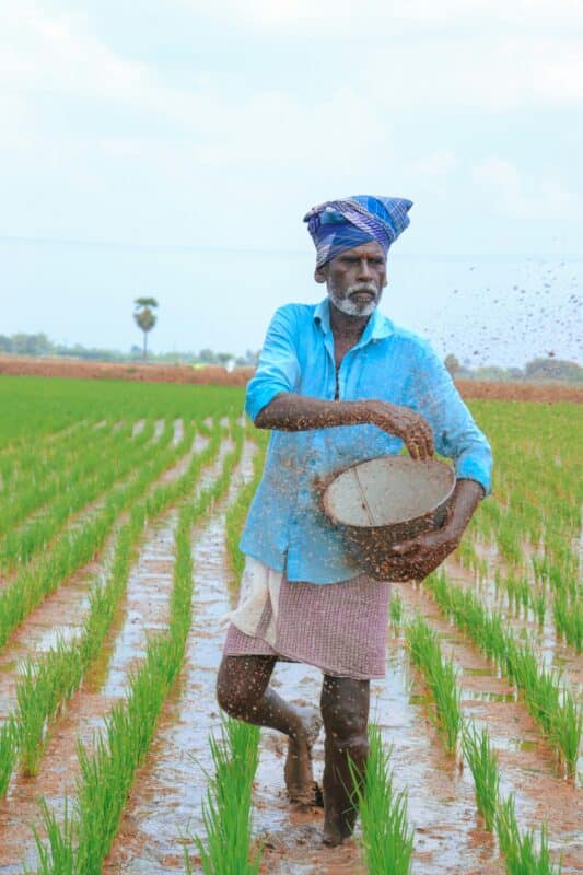 A farmer dressed in traditional clothing is sowing seeds by hand in a green paddy field, showcasing climate adaptation practices under a partly cloudy sky.